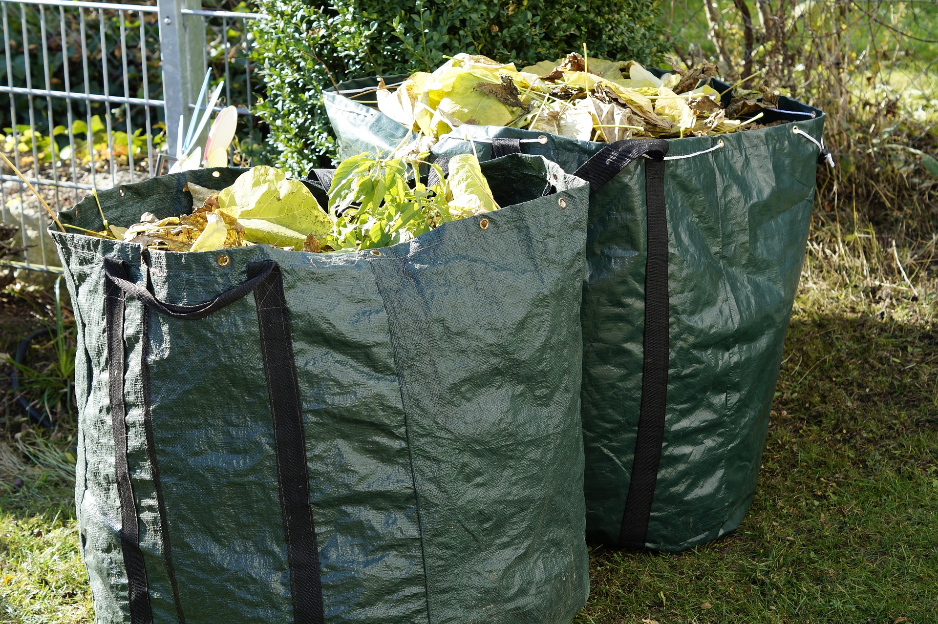Sacs de déchets verts remplis, prêts à être évacués après un chantier d'élagage