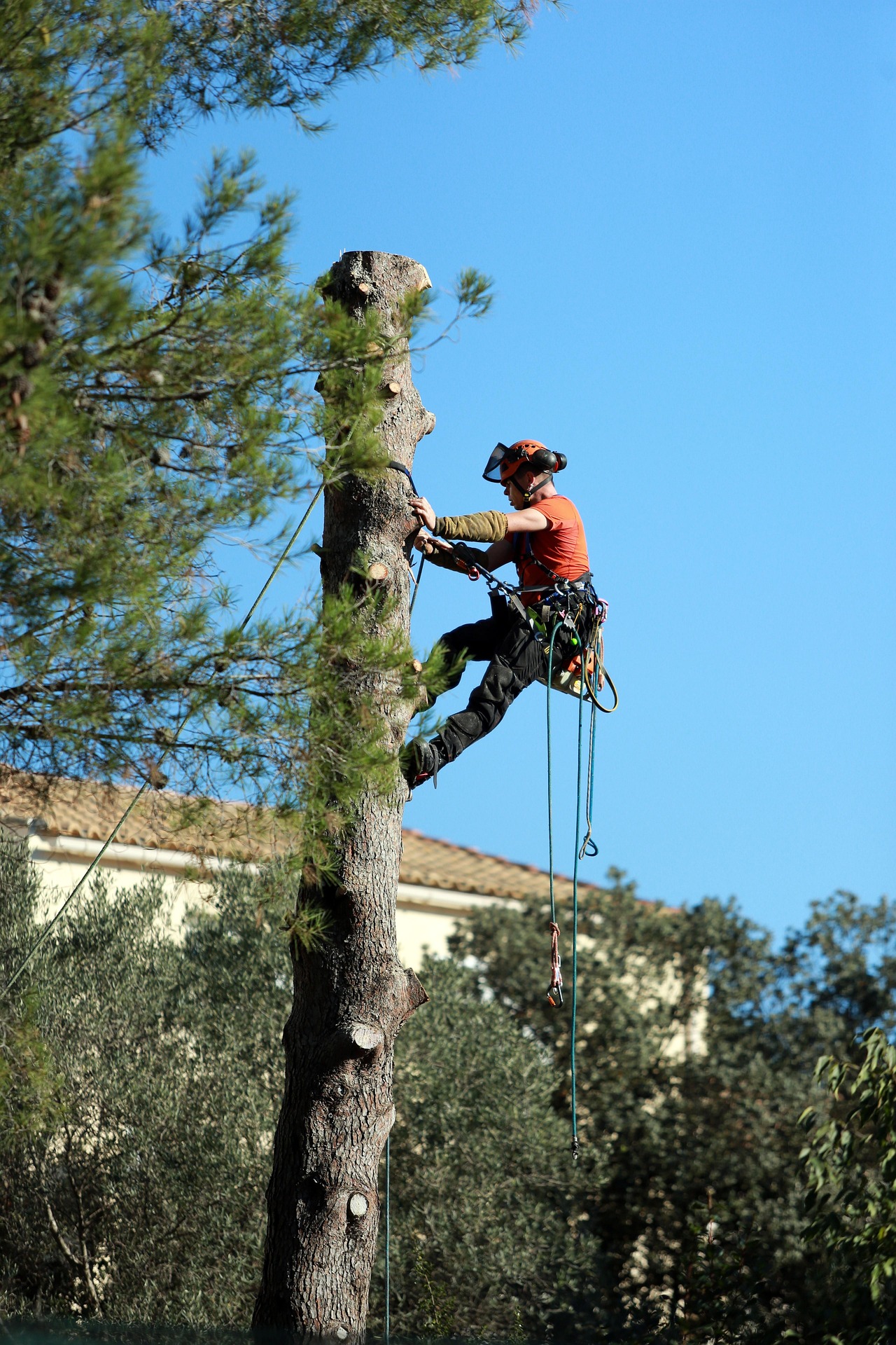 Arbre tombé en travers d'une route après une tempête, découpé par un intervenant en gilet jaune